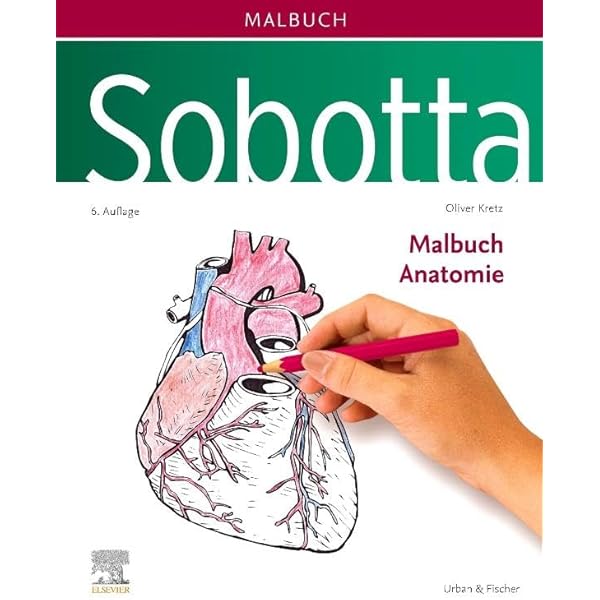 Sobotta Malbuch Anatomie : Kretz, Oliver: Amazon.de: Bücher